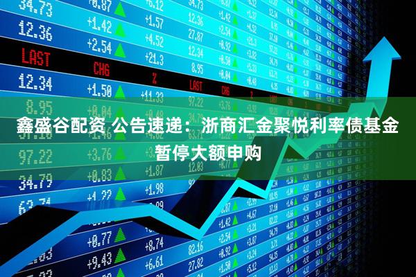 鑫盛谷配资 公告速递：浙商汇金聚悦利率债基金暂停大额申购